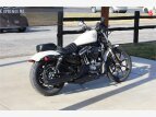 Thumbnail Photo 3 for 2022 Harley-Davidson Sportster Iron 883