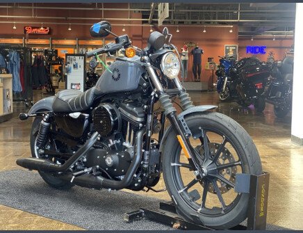 Photo 1 for 2022 Harley-Davidson Sportster
