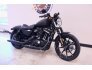 2022 Harley-Davidson Sportster Iron 883 for sale 201219328
