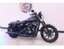 2022 Harley-Davidson Sportster Iron 883 for sale 201219329