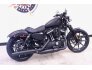 2022 Harley-Davidson Sportster Iron 883 for sale 201219573