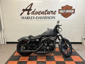 2022 Harley-Davidson Sportster Iron 883 for sale 201223108
