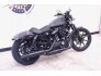 2022 Harley-Davidson Sportster Iron 883 for sale 201224540
