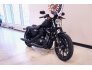 2022 Harley-Davidson Sportster Iron 883 for sale 201225617