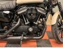 2022 Harley-Davidson Sportster Iron 883 for sale 201243260