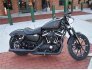 2022 Harley-Davidson Sportster for sale 201247787