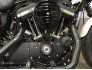 2022 Harley-Davidson Sportster Iron 883 for sale 201253167