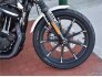 2022 Harley-Davidson Sportster for sale 201253712