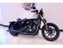 2022 Harley-Davidson Sportster Iron 883 for sale 201254236