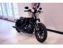 2022 Harley-Davidson Sportster Iron 883 for sale 201254238