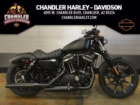 2022 Harley-Davidson Sportster Iron 883 for sale 201258108