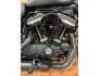2022 Harley-Davidson Sportster Iron 883 for sale 201258636