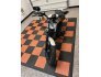 2022 Harley-Davidson Sportster Iron 883 for sale 201267495