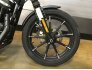 2022 Harley-Davidson Sportster Iron 883 for sale 201270230