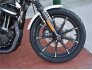 2022 Harley-Davidson Sportster for sale 201275600