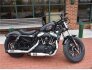 2022 Harley-Davidson Sportster for sale 201277431