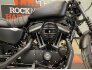 2022 Harley-Davidson Sportster Iron 883 for sale 201282391
