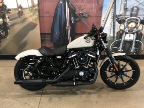 2022 Harley-Davidson Sportster Iron 883 for sale 201290279
