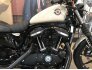 2022 Harley-Davidson Sportster Iron 883 for sale 201290489