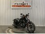 2022 Harley-Davidson Sportster Iron 883 for sale 201298321