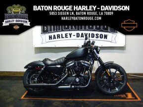 2022 Harley-Davidson Sportster Iron 883 for sale 201300206