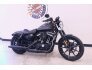 2022 Harley-Davidson Sportster Iron 883 for sale 201301639