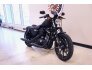 2022 Harley-Davidson Sportster Iron 883 for sale 201302167