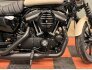 2022 Harley-Davidson Sportster Iron 883 for sale 201302705