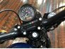 2022 Harley-Davidson Sportster Forty-Eight for sale 201304645