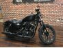 2022 Harley-Davidson Sportster Iron 883 for sale 201304649