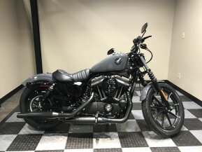 2022 Harley-Davidson Sportster Iron 883 for sale 201304658
