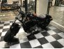 2022 Harley-Davidson Sportster Forty-Eight for sale 201304919