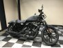 2022 Harley-Davidson Sportster Iron 883 for sale 201304931