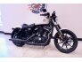 2022 Harley-Davidson Sportster Iron 883 for sale 201310478