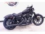 2022 Harley-Davidson Sportster Iron 883 for sale 201310479
