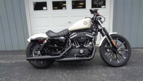 2022 Harley-Davidson Sportster Iron 883 for sale 201317855