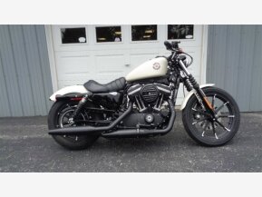 2022 Harley-Davidson Sportster Iron 883 for sale 201317855