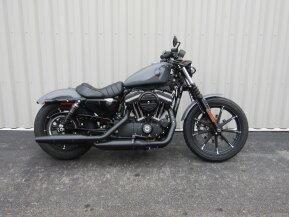 2022 Harley-Davidson Sportster Iron 883 for sale 201322813