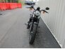 2022 Harley-Davidson Sportster Iron 883 for sale 201322813