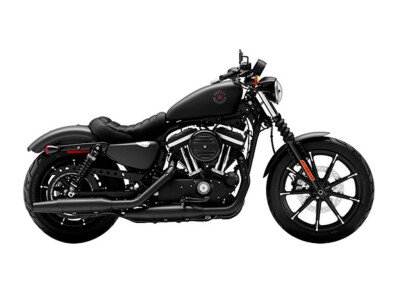 New 2022 Harley-Davidson Sportster Iron 883 for sale 201345307