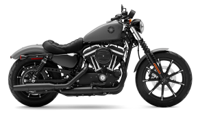 2022 Harley-Davidson Sportster Iron 883 for sale 201359640
