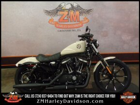 2022 Harley-Davidson Sportster Iron 883 for sale 201368801