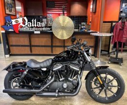 2022 Harley-Davidson Sportster Iron 883 for sale 201408403