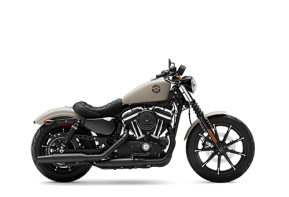 2022 Harley-Davidson Sportster Iron 883 for sale 201439904
