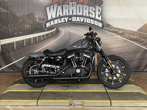 2022 Harley-Davidson Sportster Iron 883 for sale 201486915