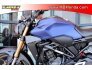 2022 Honda CB300R ABS for sale 201211956