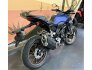 2022 Honda CB300R ABS for sale 201252357
