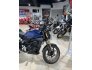 2022 Honda CB300R ABS for sale 201260584
