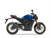 New 2022 Honda CB300R ABS