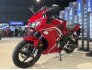 2022 Honda CBR300R for sale 201276346